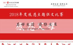 感恩父母
